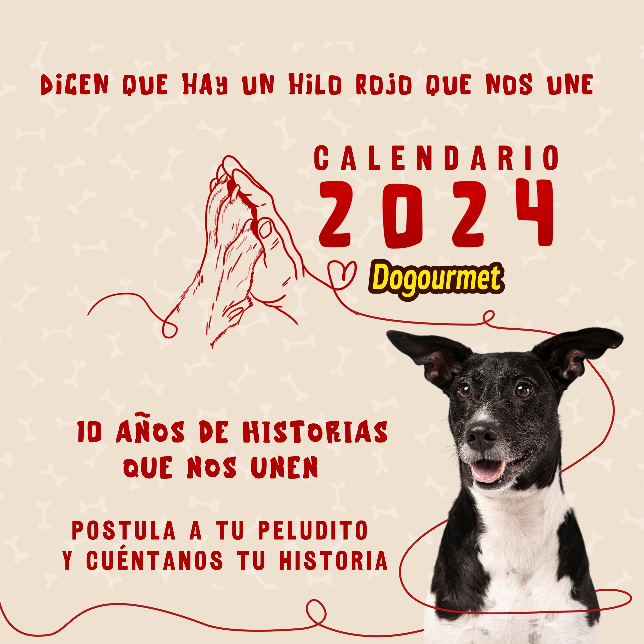 Dogourmet comienza la etapa de postulaciones para la décima edición de su calendario canino