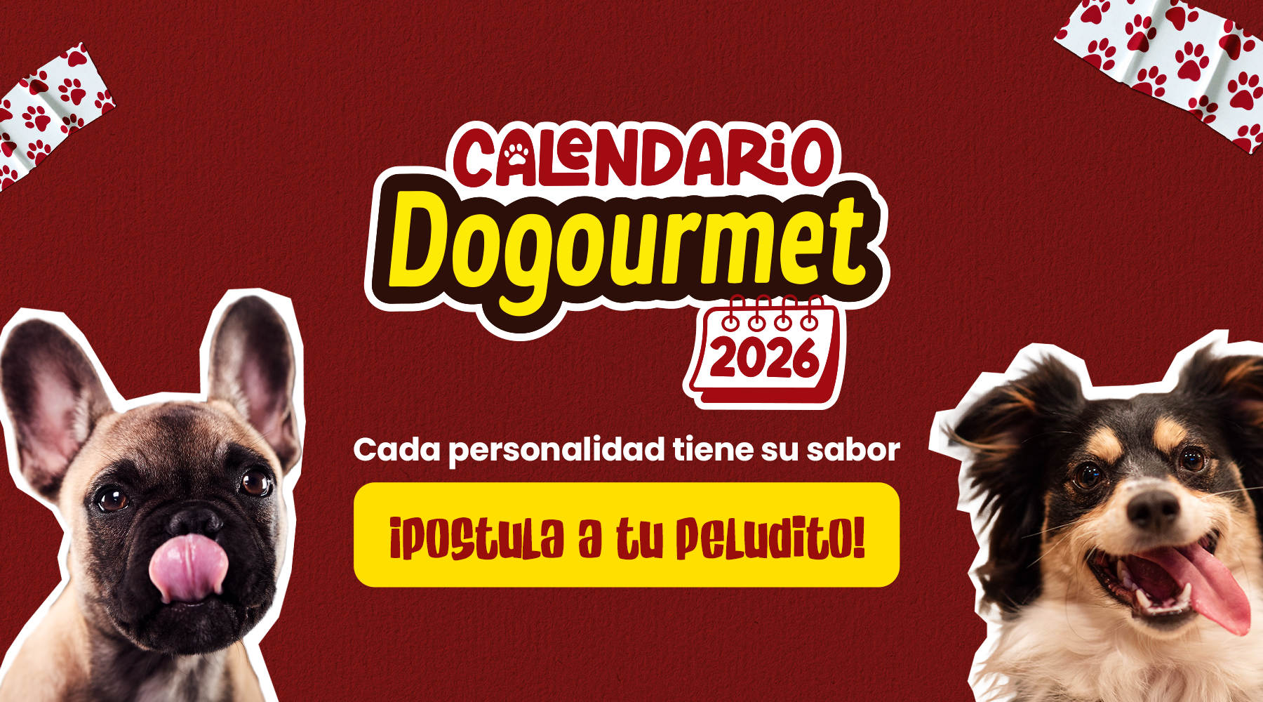 En el Calendario Dogourmet 2026 cada personalidad de los peluditos tiene un sabor